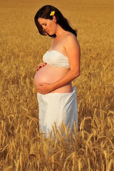 Woman Expecting — Stock Photo, Image
