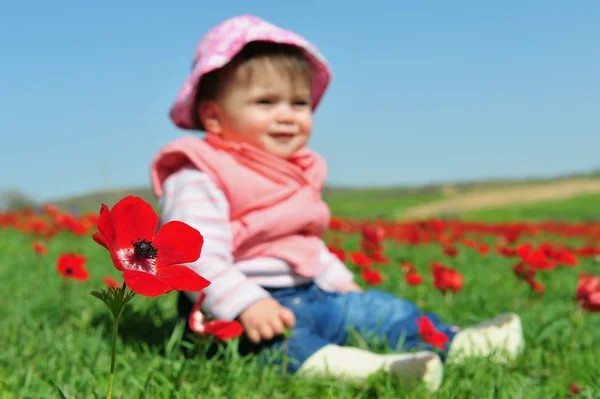 Bebê menina sentada no campo florido — Fotografia de Stock