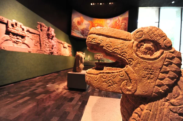 Національний музей Anthropolog в Мехіко — стокове фото