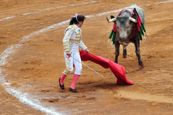 Мексиканські бик боротьба — стокове фото