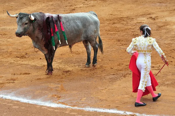 Mexická býk boj — Stock fotografie