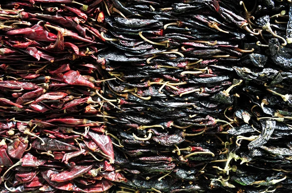 Dry Chillies — Stock Photo, Image