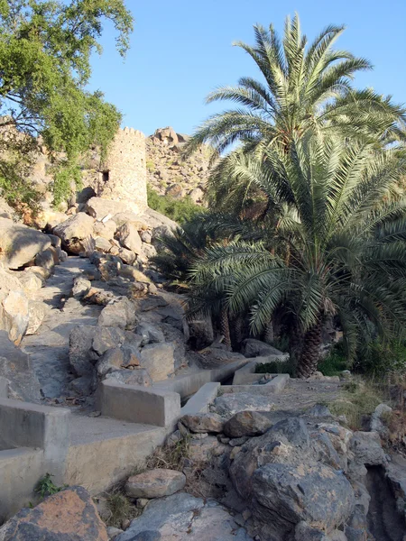 Al Abreyeen, Misfah, Oman — Zdjęcie stockowe