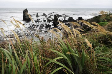 West coast beach, Yeni Zelanda