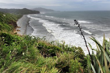 West coast beach, Yeni Zelanda