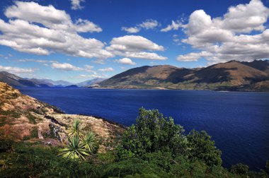 Sea View of South Island, New Zealand clipart