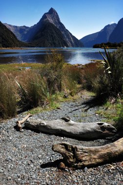 Yeni Zelanda fiordland