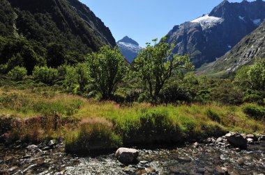 Yeni Zelanda fiordland