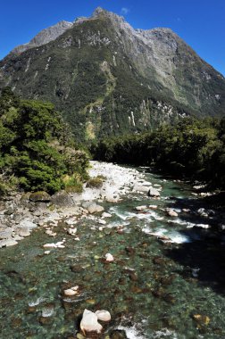 Yeni Zelanda fiordland