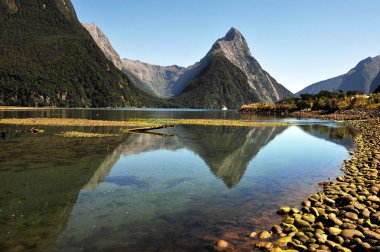 Yeni Zelanda fiordland