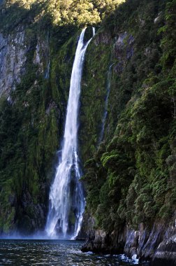 Yeni Zelanda fiordland