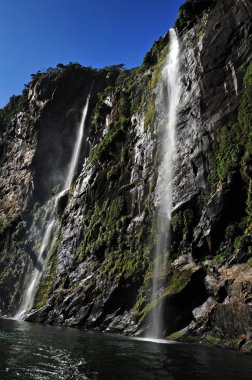 Yeni Zelanda fiordland