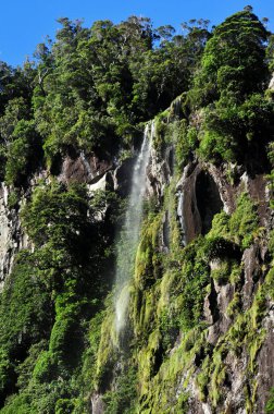 Yeni Zelanda fiordland