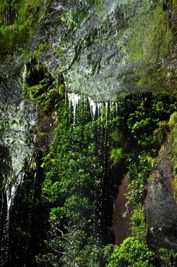 Yeni Zelanda fiordland