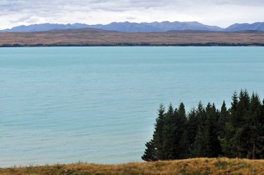 Tekapo Gölü, Yeni Zelanda