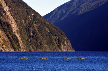 Yeni Zelanda fiordland