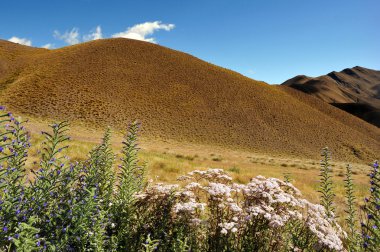 Manzaralı south Island, Yeni Zelanda