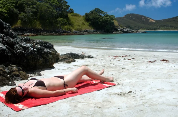Pláž na Novém Zélandu — Stock fotografie