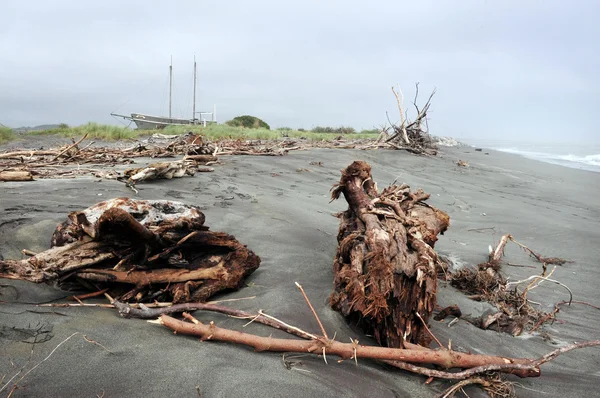 Westkust strand Nieuw-Zeeland — Stockfoto