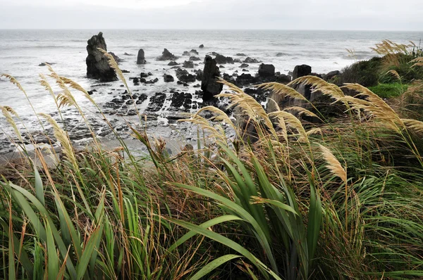 西海岸ビーチ ニュージーランド — ストック写真