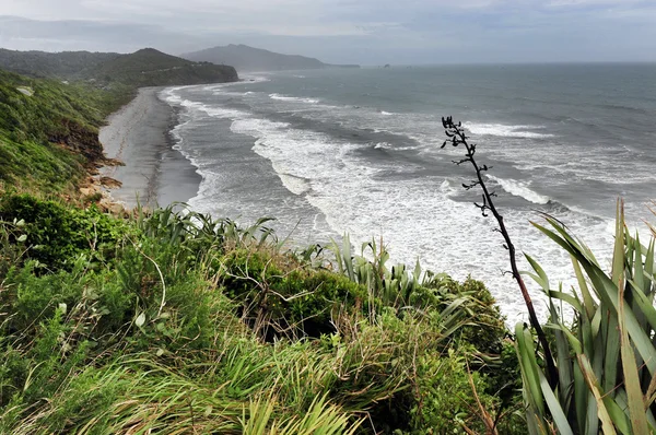 West Coast Beach New Zealand — Stock Photo, Image