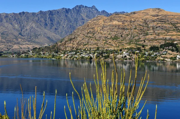 Lake wakatipu, queenstown, Nya Zeeland — Stockfoto