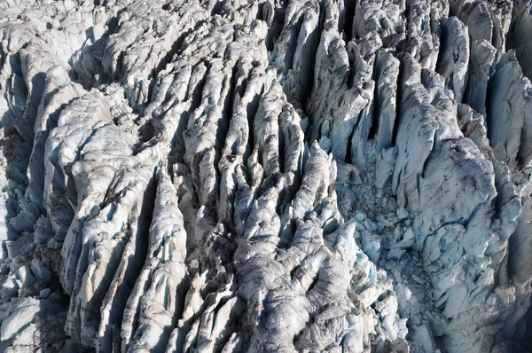 Raposa geleira nova zelândia — Fotografia de Stock