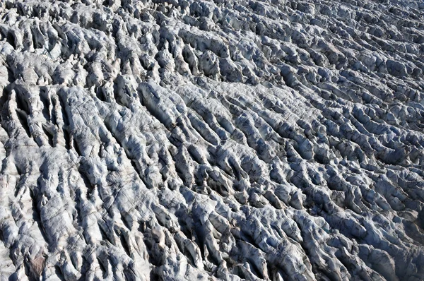フォックス氷河ニュージーランド — ストック写真
