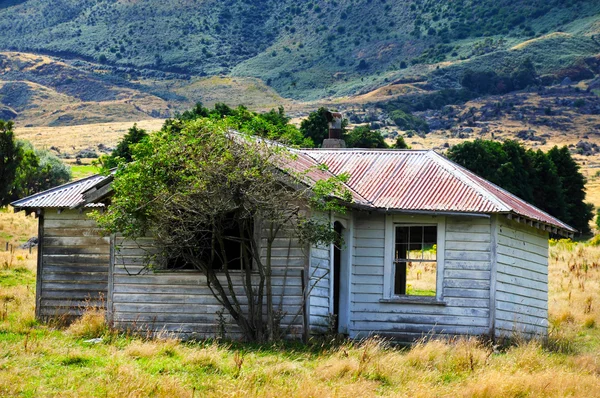 Старое здание фермы в Новой Зеландии — стоковое фото