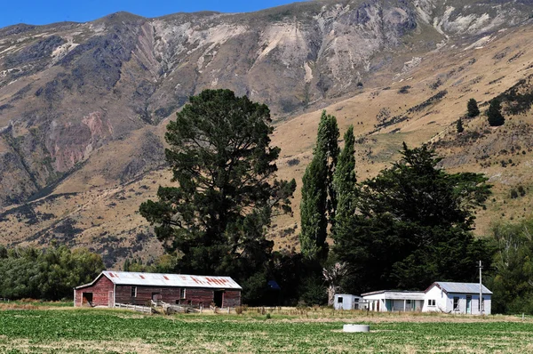 Antiguo edificio de la granja Nueva Zelanda — Foto de Stock