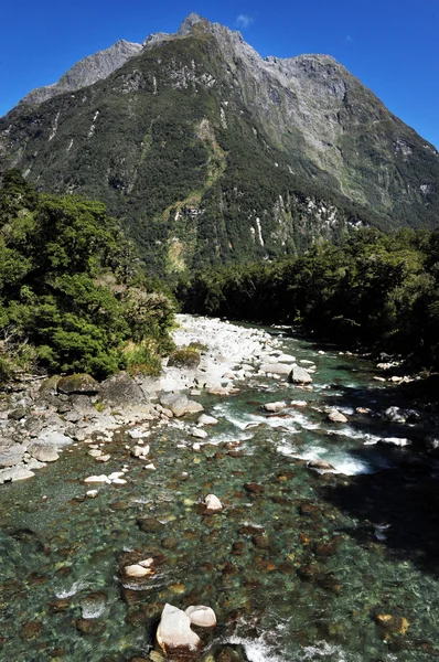 Nový Zéland fiordland — Stock fotografie