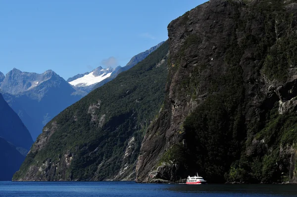 Nieuw-Zeeland fiordland — Stockfoto