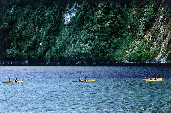 Nya Zeeland fiordland — Stockfoto