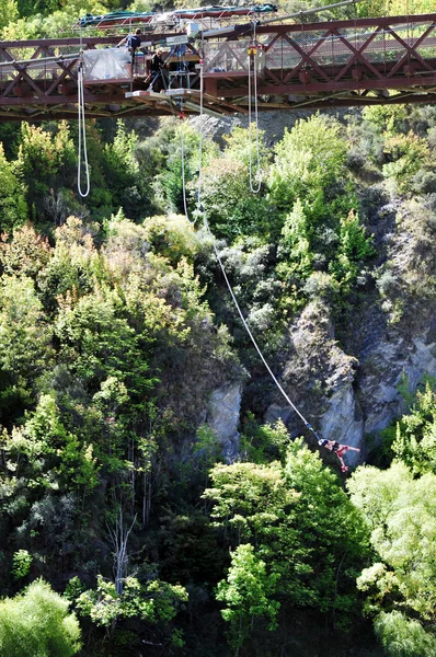 Bungy jumping, queenstown, Nova Zelândia — Fotografia de Stock