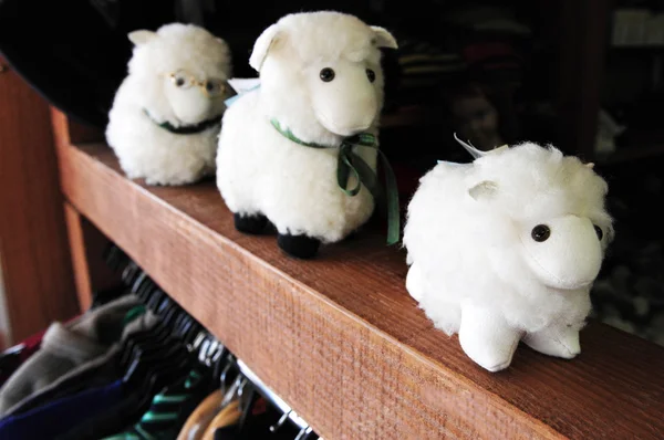 Loja de lã da Nova Zelândia — Fotografia de Stock