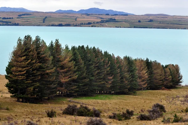Lago Tekapo, Nova Zelândia — Fotografia de Stock