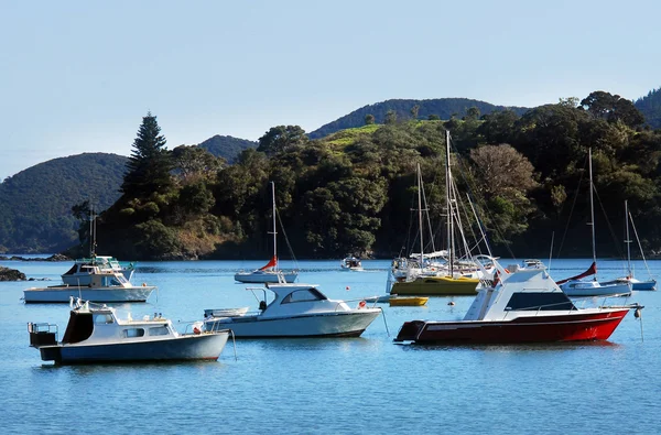 Mangonui, Nowa Zelandia — Zdjęcie stockowe
