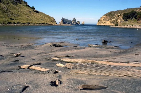 Strand in Nieuw-Zeeland — Stockfoto