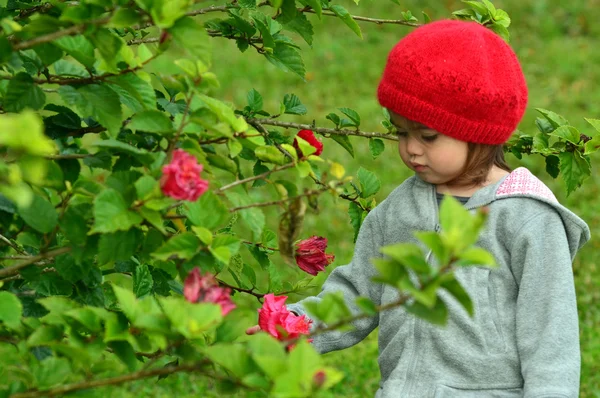 Μικρό κορίτσι και κόκκινο λουλούδι — Φωτογραφία Αρχείου