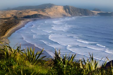 Cape reinga landscape clipart