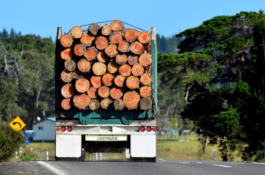 Logging truck clipart