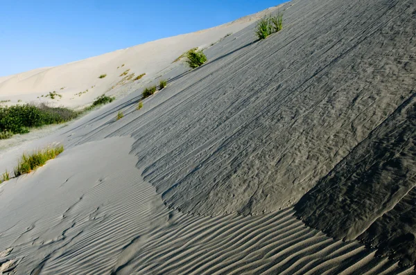 Te dunas de areia paki — Fotografia de Stock