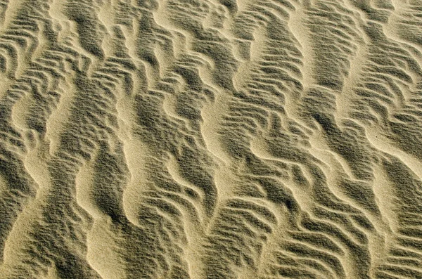 Ondulações de dunas de areia — Fotografia de Stock