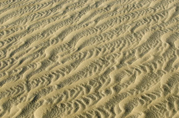 Ondulações de dunas de areia — Fotografia de Stock