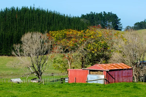 Old barn — Stock Photo, Image