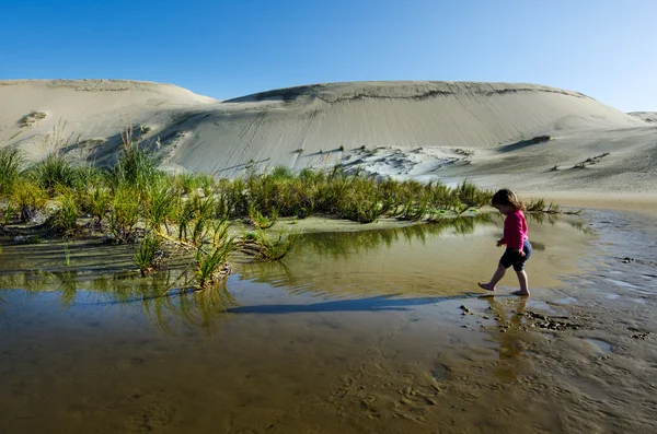 Te Paki Dune di sabbia — Foto Stock
