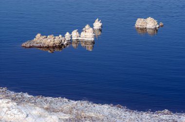 İsrail - Ölüdeniz seyahat fotoğrafları