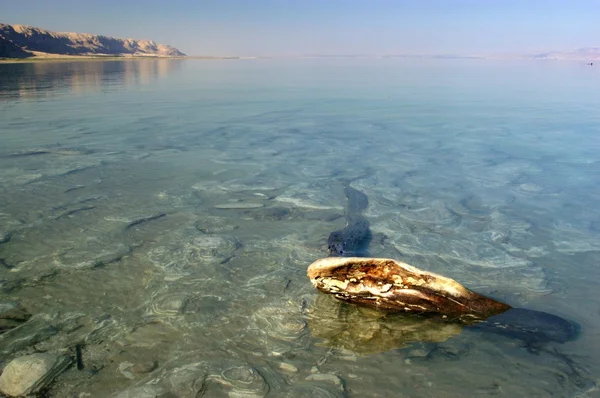 以色列-死海旅游照片 — 图库照片