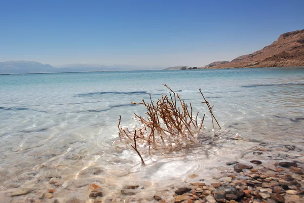 Morze Martwe-Izrael — Zdjęcie stockowe