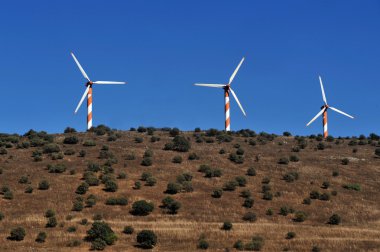 İsrail - golan tepeleri seyahat fotoğrafları